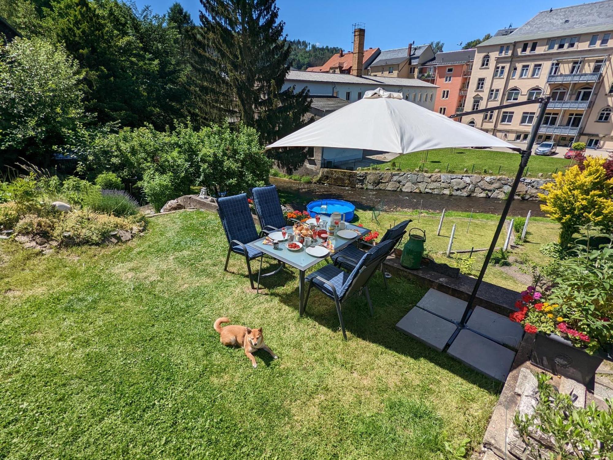 Uo2 - Urlaubsmagie - Garten, Whirlpool, Sauna Lejlighed Sebnitz Eksteriør billede