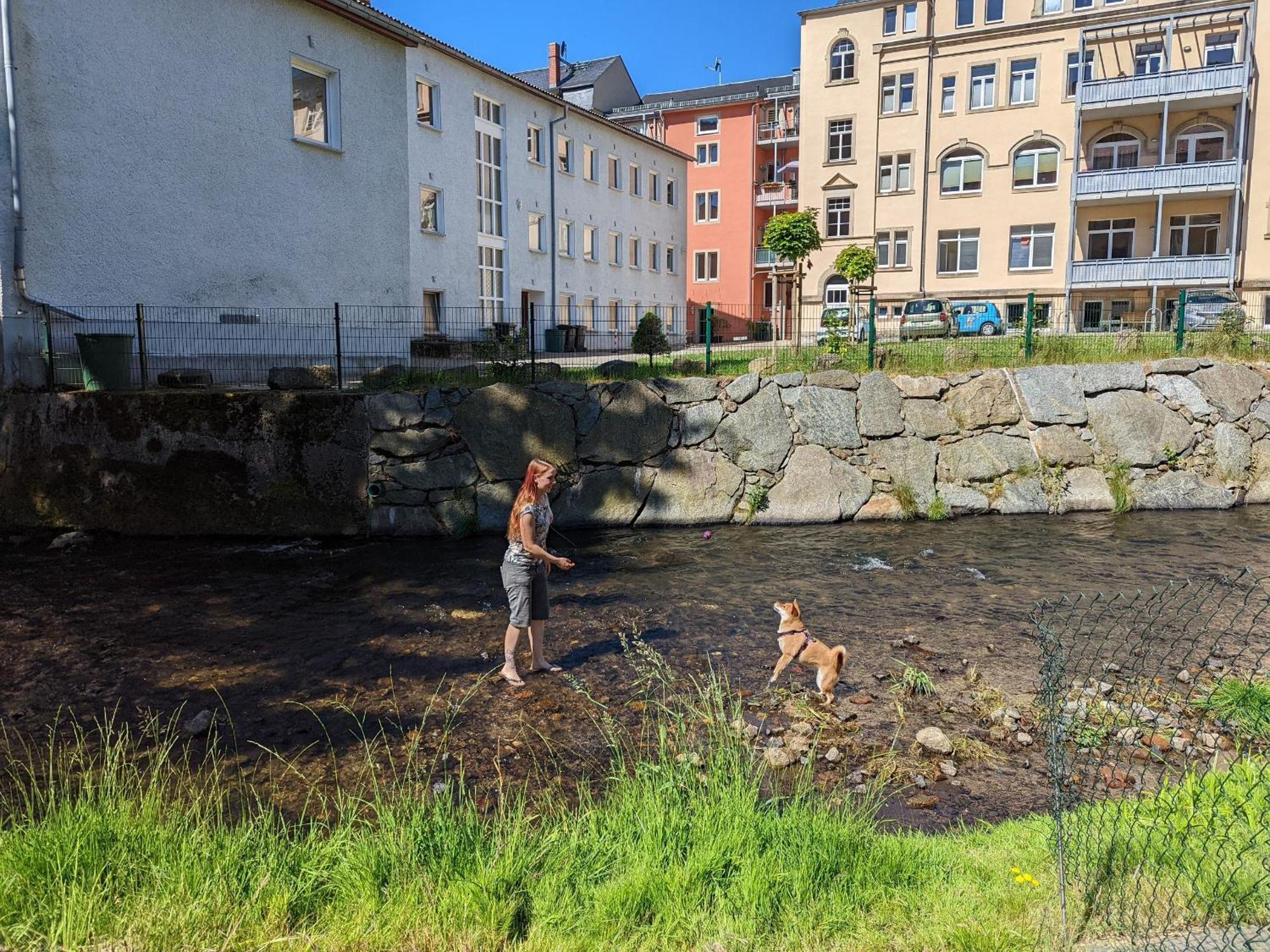 Uo2 - Urlaubsmagie - Garten, Whirlpool, Sauna Lejlighed Sebnitz Eksteriør billede